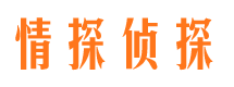 和平区资产调查